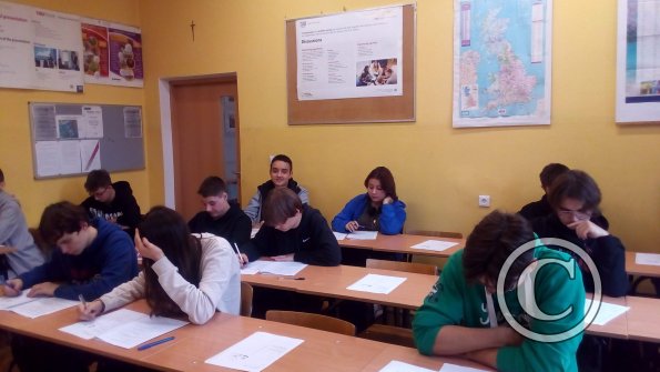 P_20231020_124553 (1)