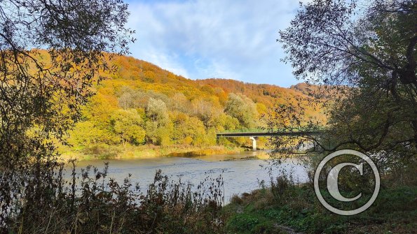 IMG20231023152605 (1)