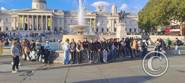 20241017_162635(0)(1)