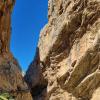 IMG-20260326-WA0078 (1)